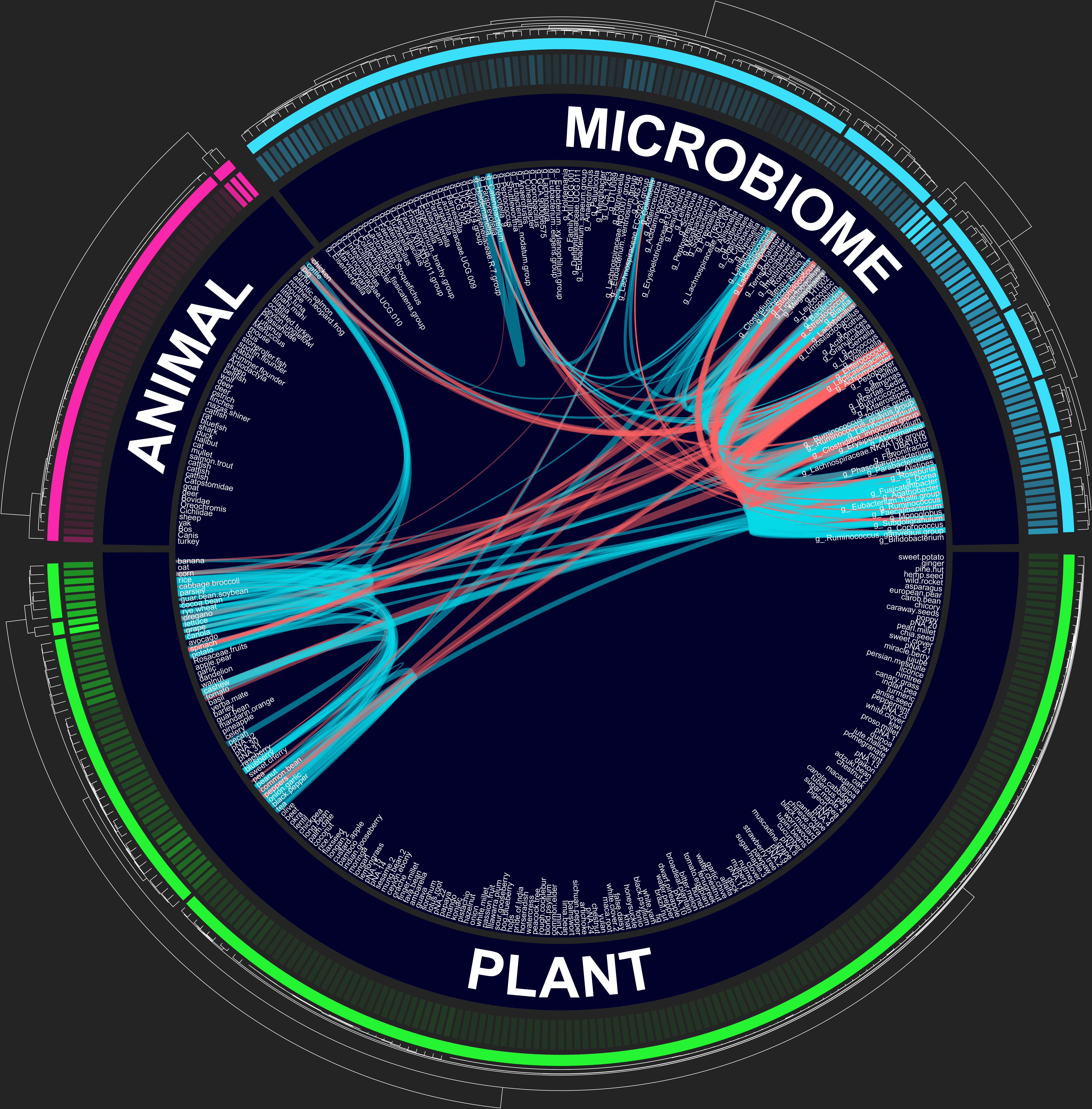 Circos plot showing associations